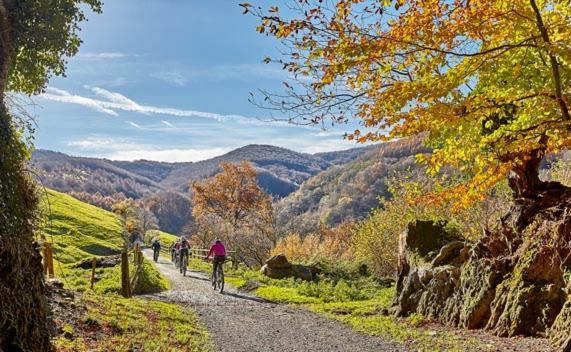 Alojamiento Rural Urgain I Y II Lekunberri Ngoại thất bức ảnh